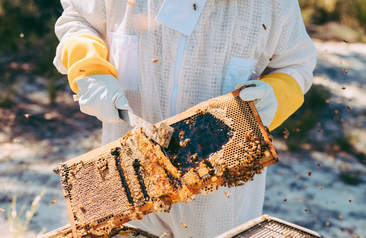 Honey as a Performance Ingredient