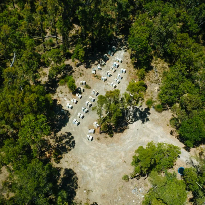 An aerial view of a group of tents in the woods.