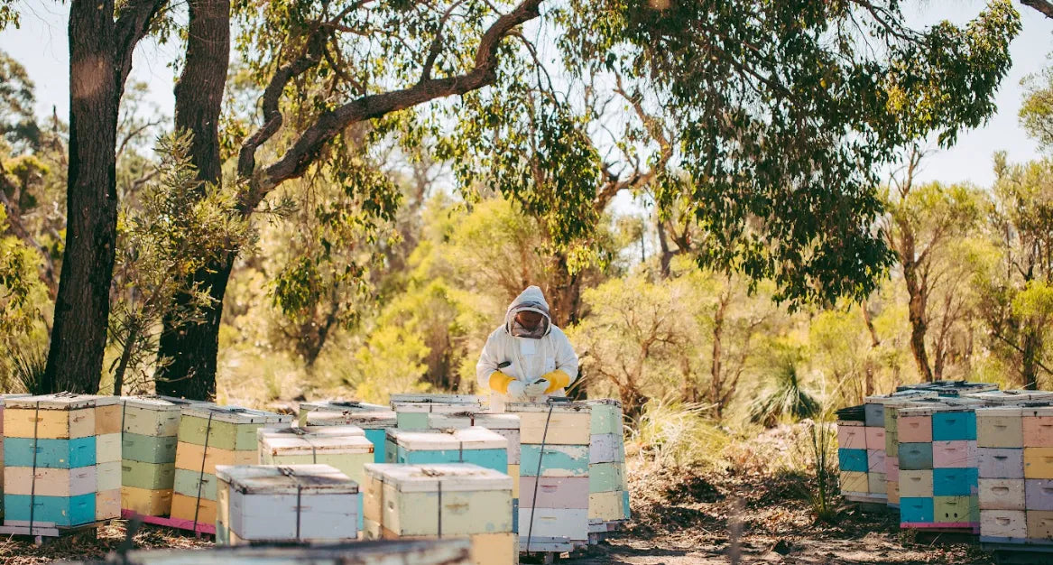 A man in a bee suit standing next to a bunch of beehives.